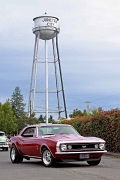 2010F4J0021
