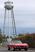 2010F4J0053