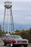 2010F4J0061
