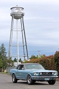 2010F4J0070