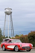 2010F4J0133