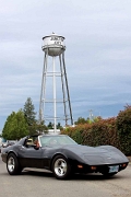 2010F4J0141