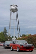 2010F4J0157